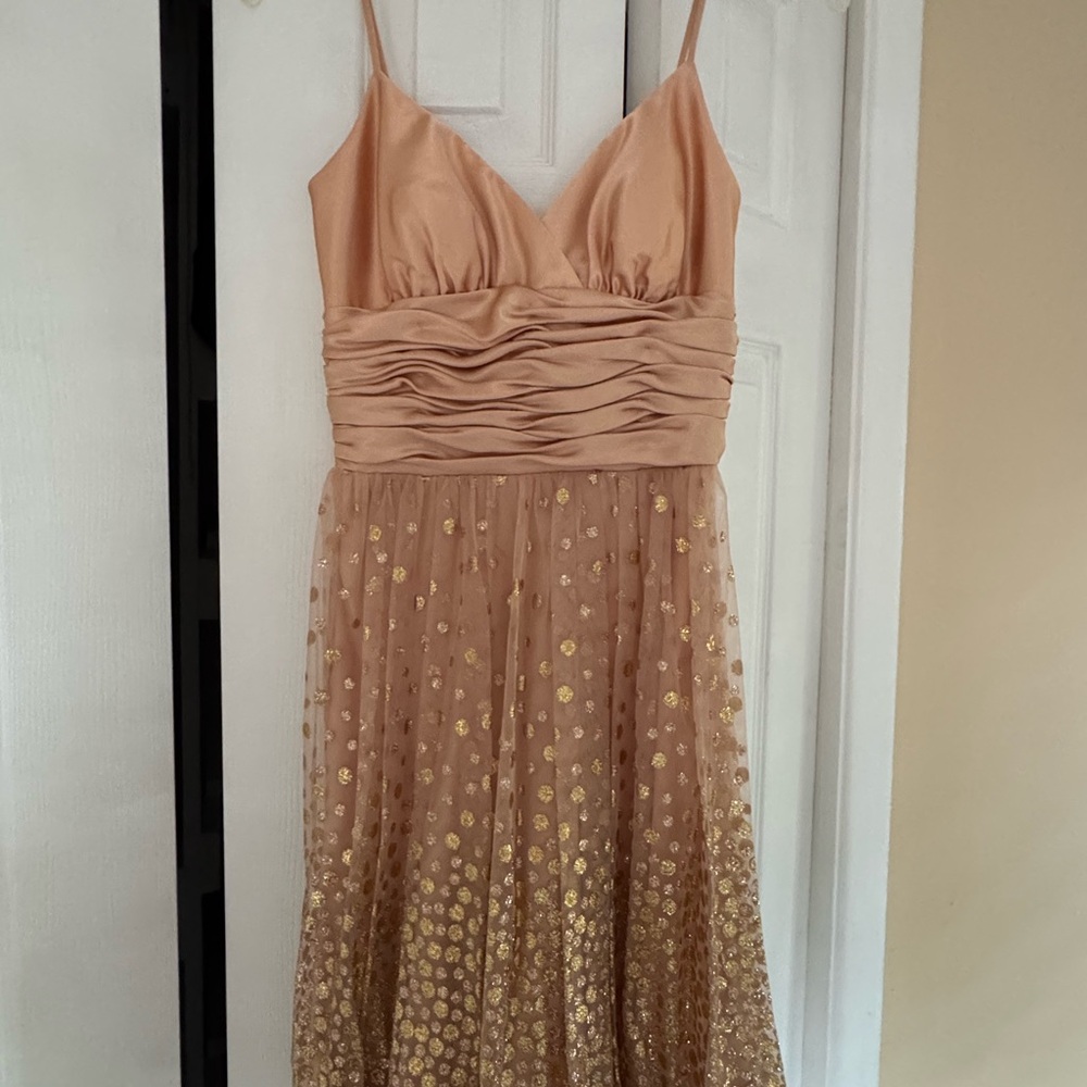 David's Bridal Peach Gown with Gold Details